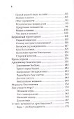 Лабиринты благочестия - 2
