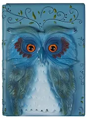 Блокнот 3D Дневник совы 14,5*19*1см, 92 стр., резиновая объемная обложка