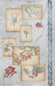 Рисовая бумага для декупажа «Ботанические зарисовки», 32х22 см, Love2art
