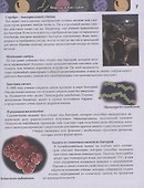 Живая природа. Энциклопедия - 2