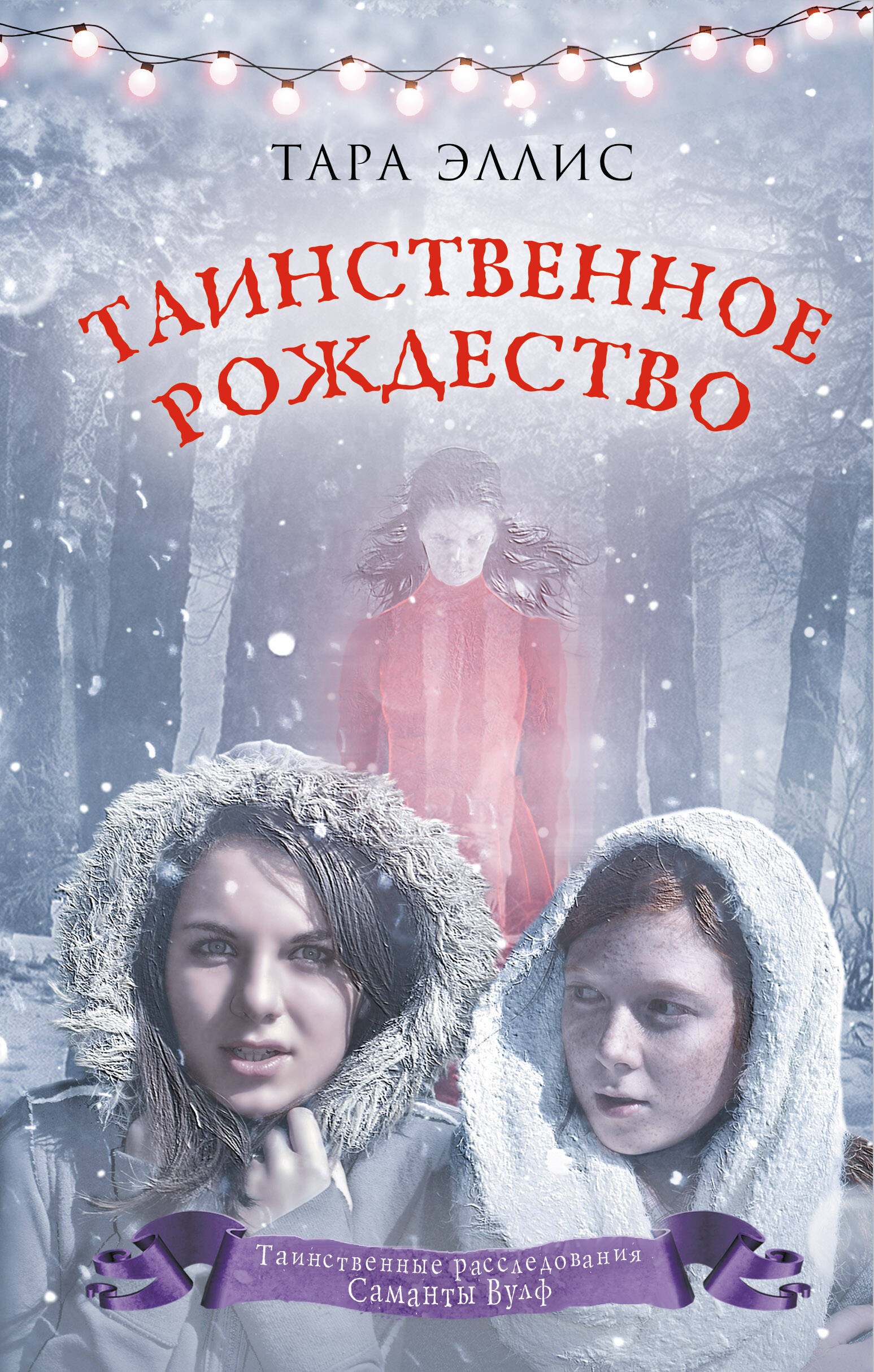 Детский детектив  Буквоед Таинственное Рождество (#6)
