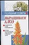 Выращиваем алоэ
