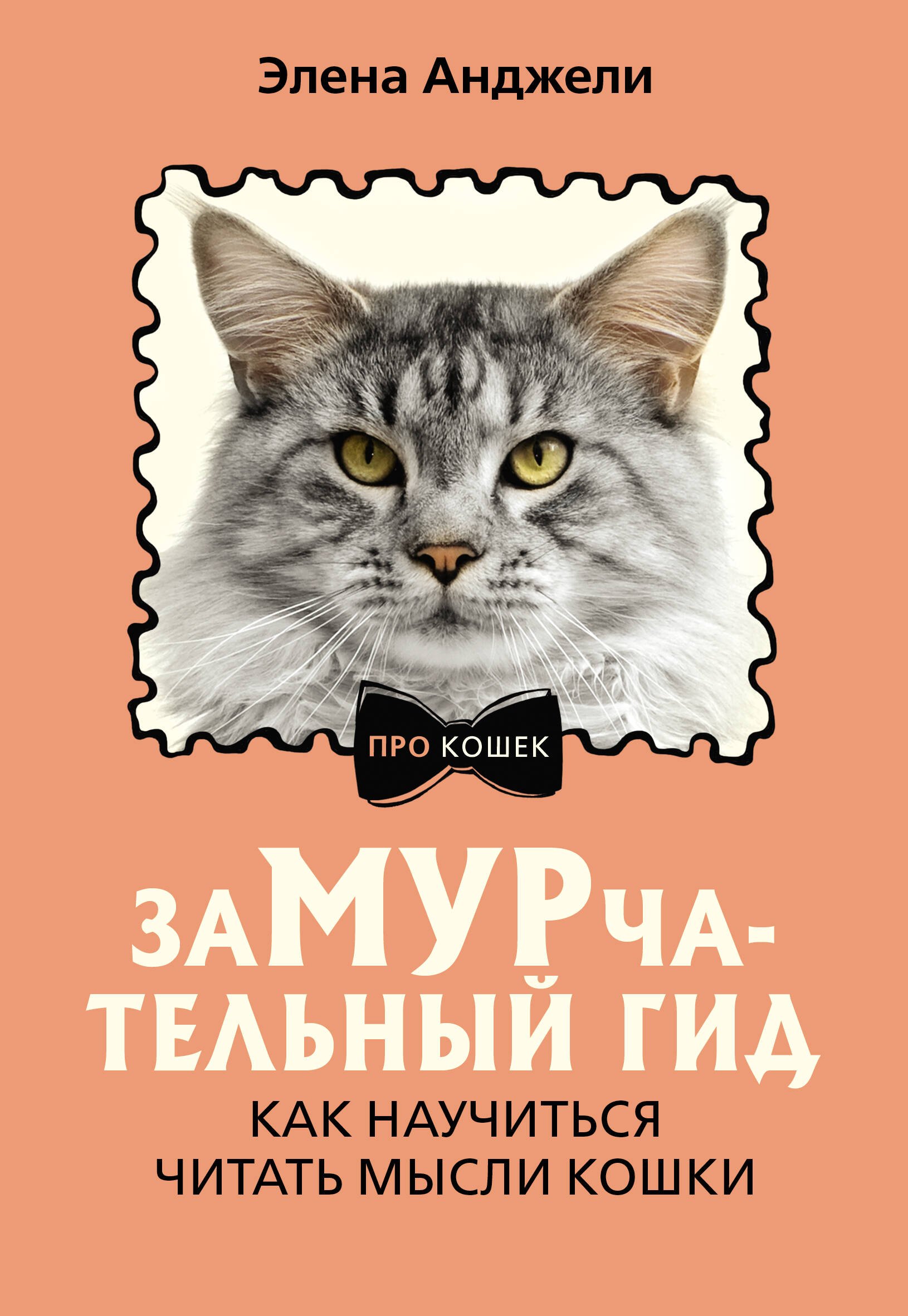 

ЗаМУРчательный гид. Как научиться читать мысли кошки