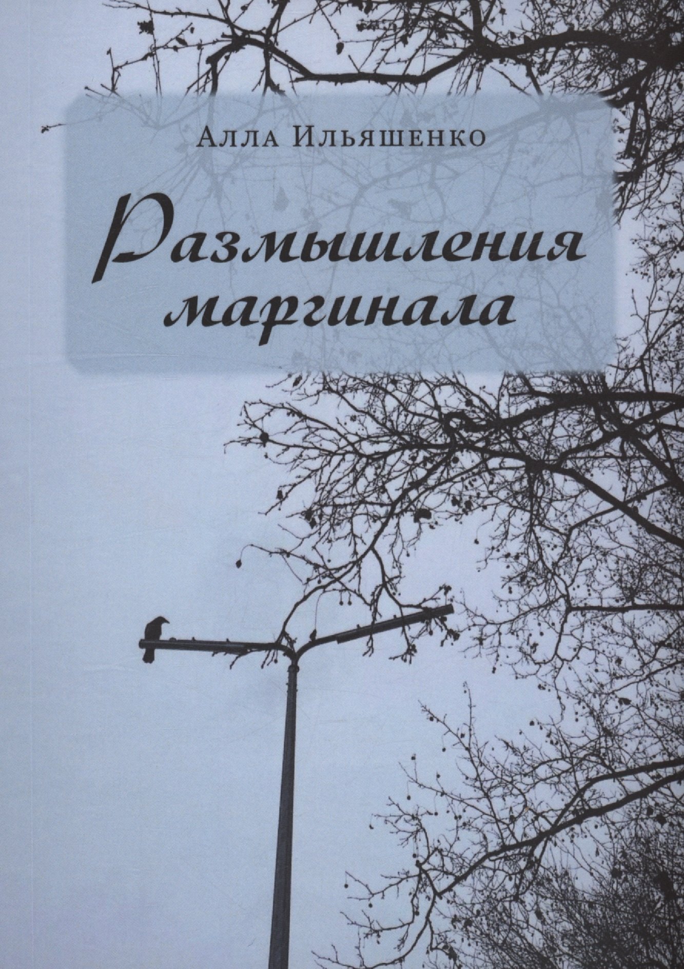 

Размышления маргинала