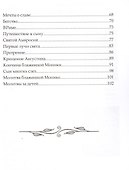 Блаженная Моника. Мать блаженного Августина - 2
