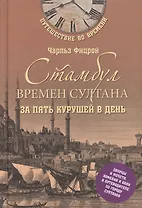 Стамбул времен султана за пять курушей в день