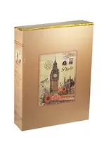 Фотоальбом для 300 фотографий (10х15) (23х5х33) (2 вида) (672841)