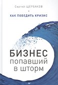 Бизнес, попавший в шторм. Как победить кризис - 0