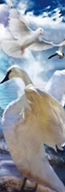 Закладка 3D (00097) (Мир открытий)