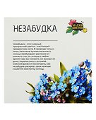 Набор д/выращивания растений Магия цветов, Незабудка (mf-006) - 1