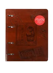 Тетрадь на кольцах в клетку InFolio, Leon, 120 листов