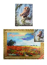 Набор для творчества, Картинка по номерам по номерам 40*50см Сова 13462