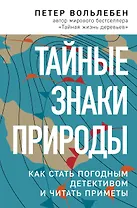 Тайные знаки природы: как стать погодным детективом и читать приметы