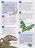 Красная книга России. Энциклопедия российского школьника - 2