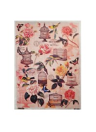 Рисовая бумага для декупажа Craft Premier Клетки для птиц (CP00300) (А3) (25г/м) (упаковка)