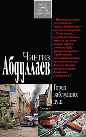 Город заблудших душ: роман