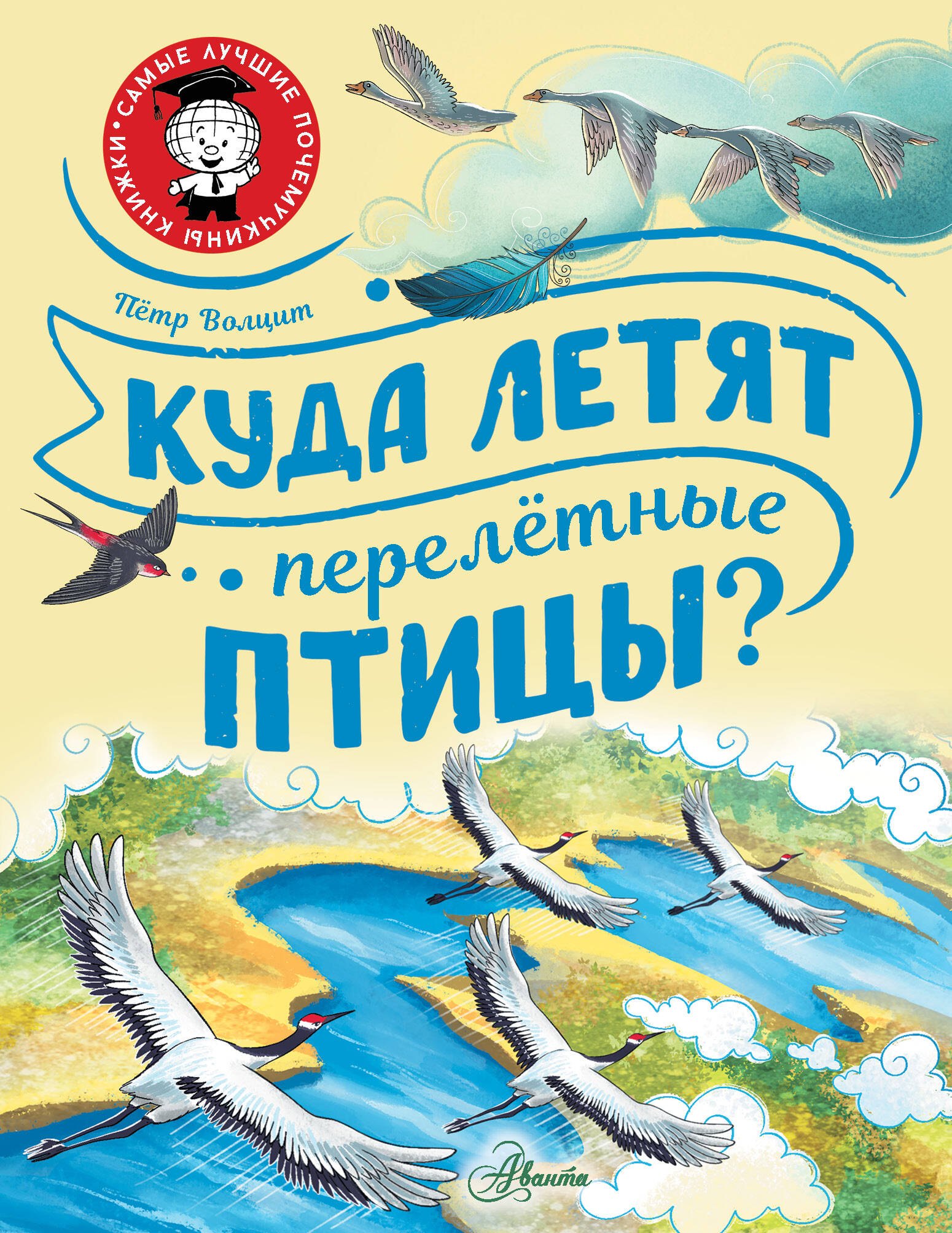 

Куда летят перелётные птицы