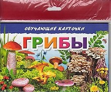 Обучающие карточки "Грибы" (европодвес)