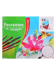 Набор для раскрашивания по номерам ТМ Рыжий Кот Холст Цветная сова 40х50см KTL586