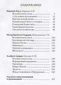Босх, Брейгель, Дюрер: гении Северного Возрождения. - 1