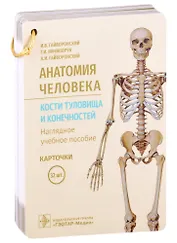 Анатомия человека. Кости туловища и конечностей. Наглядное учебное пособие. Карточки