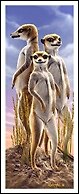 Закладка 3D Meerkats (Листопадова)