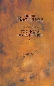 Были и небыли. Кн. I. Господа волонтеры / Собрание сочинений в 12 т. Т.6