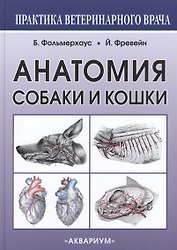 Анатомия собаки и кошки