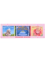 СЛАДКИЕ СКАЗКИ. ЗАРУБЕЖНЫЕ СКАЗКИ (розовая)