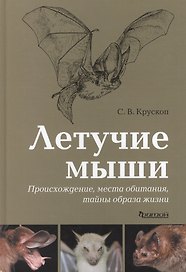 Летучие мыши: Происхождение, места обитания, тайны образа жизни.