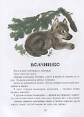 Томкины сны. Илл. автора - 2