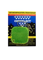 Альбом для рисования 08л."Щенок и котенок" мел.картон, Канц-Эксмо