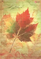 Книга для записей А5 130л кл. "Пейзаж. Красота осени" 7Бц, глянц.лам., офсет, Listoff