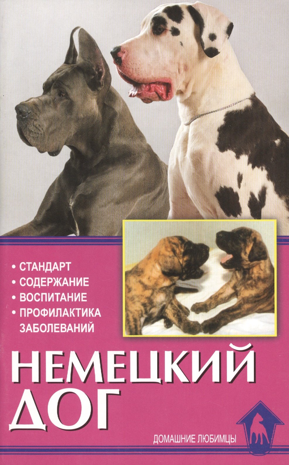 

Немецкий дог: История, стандарт, выращивание, уход, профилактика заболеваний