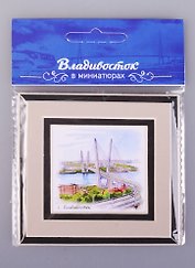 ЧГ:2585431 Магнит в паспарту Владивосток Мост (21Vlvs01)