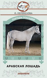 Арабская лошадь