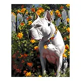 Картина по номерам холст на подрамнике 40*50см "Защитник"