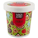 Набор для выращивания Инжир (zk-080)