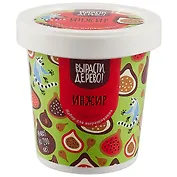 Набор для выращивания Инжир (zk-080)