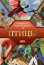 Птицы. Иллюстрированный гид