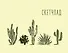 Кактусы. Скетчпад - 0