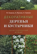 Декоративные деревья и кустарники