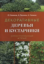 Декоративные деревья и кустарники