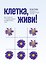 Клетка, живи!: как строится и почему умирает человеческое тело дп - 0
