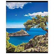 Тетрадь 96л кл. "Природа" спл.лак, ассорти, schoolФОРМАТ