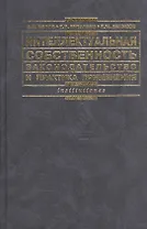 Интеллектуальная собственность: Законодательство и практика применения: Практическое пособие. 2 -е изд.