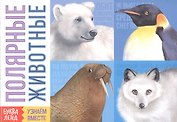Обучающая книга «Полярные животные»