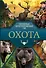 Охота. Популярный иллюстрированный гид - 0