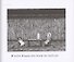 Gashlycrumb Tinies - 2