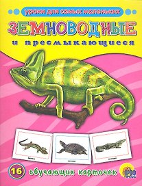 ОБУЧАЮЩИЕ КАРТОЧКИ. ЗЕМНОВОДНЫЕ И ПРЕСМЫКАЮЩИЕСЯ